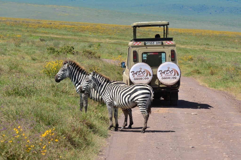 image to display our vehicle at Serengeti national park