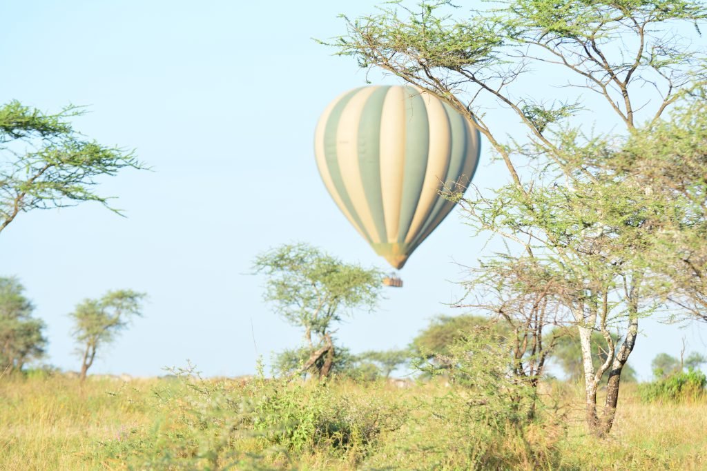 image to display Hot air Balloon on the air of Serengeti.